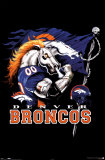 Denver Broncos Football